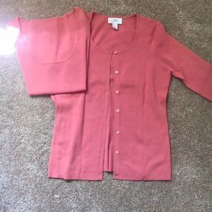 LOFT Sweater (Twin Set) EUC